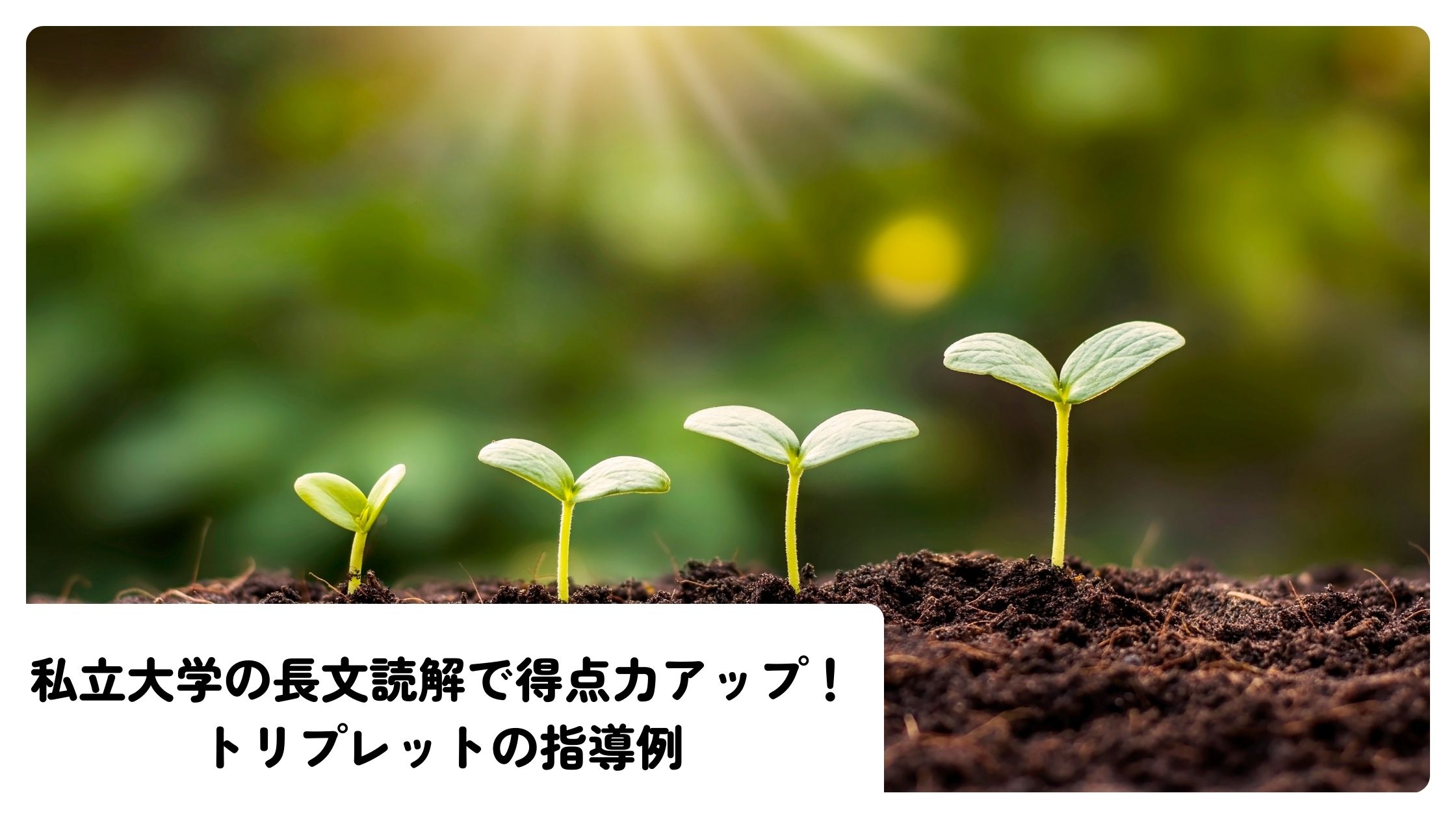 私立大学の長文読解で得点力アップ！トリプレットの指導例 | ｜中学生